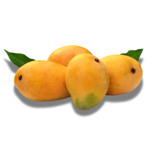Mango Banganapalli-500G